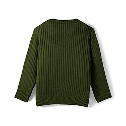 Babyhug Knit Full Sleeves Solid Color Pullover Sweater - Olive Green