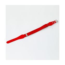 Babyhug Buckle Lock Belt - Red