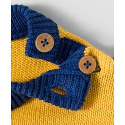Babyhug Organic Cotton Knit Full Sleeves Sweater Set with Color Block Design Porcupine Patch & Cap - Navy Blue