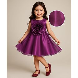 Babyhug Woven Sleeveless Party Dress With Floral Applique On Yoke - Wine