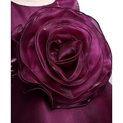 Babyhug Woven Sleeveless Party Dress With Floral Applique On Yoke - Wine