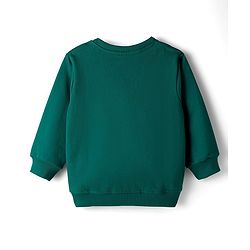Babyhug Cotton Knit Full Sleeves Sweatshirts With Animal Graphics Pack of 2 - Green & Light Pink
