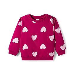Babyhug 100% Cotton Knit Full Sleeves Sweatshirts with Heart Print & Applique Pack of 2 - Pink