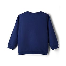 Babyhug Cotton Knit Full Sleeves Sweatshirts With Floral & Butterfly Graphics Pack of 2 - Navy Blue & White