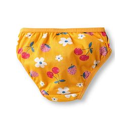 Babyhug 100% Cotton Knit Panties with Floral & Polka Dot Print Pack of 3 - Multicolor