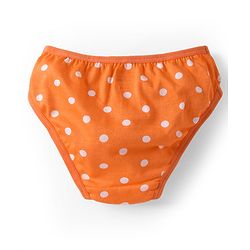 Babyhug 100% Cotton Knit Antibacterial Panties With Polka Dot & Tropical Theme Print Pack Of 3 - Orange Light Blue & Pink