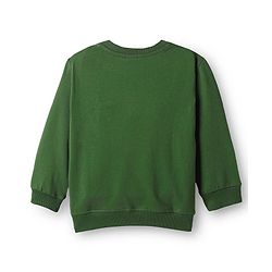 Babyhug Cotton Knit Full Sleeves Sweatshirt with Kangaroo Pockets Text Print & Animal Graphics - Green