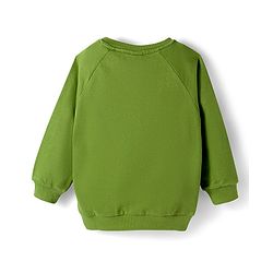 Babyhug Cotton Knit Full Raglan Sleeves Sweatshirt With Animal & Text Print - Green