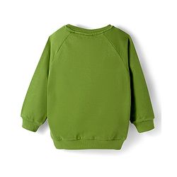 Babyhug Cotton Knit Full Raglan Sleeves Sweatshirt With Animal & Text Print - Green