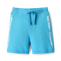 Babyhug Single Jersey Knit Shorts With Stripes & Dino Print Pack Of 3 - Light Blue Green & Navy Blue