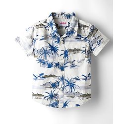 Babyhug Cotton Woven Half Sleeves Shirt & Shorts Set With Tropical Theme Print - White & Green
