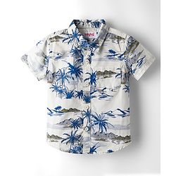 Babyhug Cotton Woven Half Sleeves Shirt & Shorts Set With Tropical Theme Print - White & Green