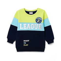 Babyhug Cotton Knit Full Sleeves Cut & Sew Sweatshirt with Text Graphic & Patch Detailing - Multicolor