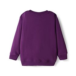 Babyhug Cotton Knit Full Sleeves Pullover Sweatshirt with Dino Print - Purple