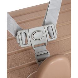 Babyhug Convertible High Chair and Foldable Standing Stool - Brown| Dining Chair| Adjustable Height| Removable Food Tray| Safety Fence| Step Stool| Tool Free Assembly