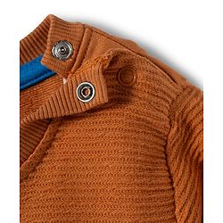 Babyhug Cotton Knit Full Sleeves Sweatshirt with Teddy Bear Graphics & Cut & Sew Design - Brown