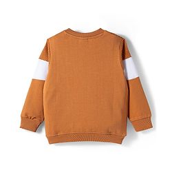 Babyhug Cotton Knit Full Sleeves Sweatshirt with Teddy Bear Graphics & Cut & Sew Design - Brown