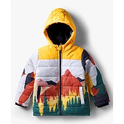 Babyhug Woven Full Sleeves Hooded Padded Jacket With Mountain Print - Multicolor