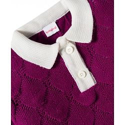 Babyhug Knitted Full Sleeves Solid Color Pullover Sweater with Polo Collar - Red