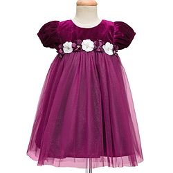 Babyhug Mesh Woven Half Puffed Sleeves Fit and Flare Party Dress With Glitter & Floral Applique - Wine