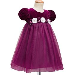 Babyhug Mesh Woven Half Puffed Sleeves Fit and Flare Party Dress With Glitter & Floral Applique - Wine