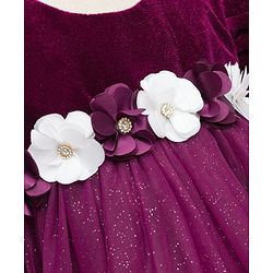 Babyhug Mesh Woven Half Puffed Sleeves Fit and Flare Party Dress With Glitter & Floral Applique - Wine