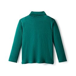 Babyhug Cotton Elastane Full Sleeves Solid Color Turtle Neck Winter T-Shirt - Green