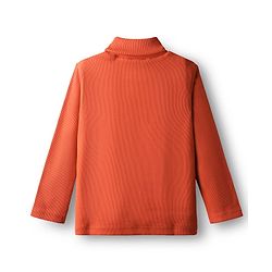Babyhug Cotton Knit Full Sleeves Turtle Neck Winter T-Shirt - Rust Orange