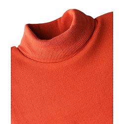 Babyhug Cotton Knit Full Sleeves Turtle Neck Winter T-Shirt - Rust Orange