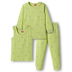 Babyhug Knit Full Sleeves Pullover & Sleeveless Thermal Vest & Pant Set with Origami Plane Print - Green