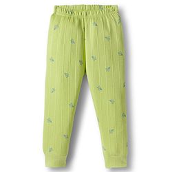 Babyhug Knit Full Sleeves Pullover & Sleeveless Thermal Vest & Pant Set with Origami Plane Print - Green