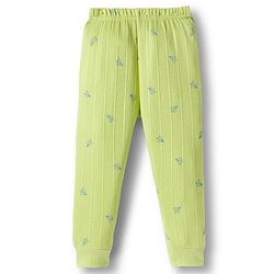 Babyhug Knit Full Sleeves Pullover & Sleeveless Thermal Vest & Pant Set with Origami Plane Print - Green