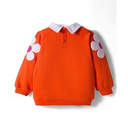 Babyhug 100% Cotton Knit Raglan Full Sleeves Sweatshirt With Floral Embroidery & Text Print - Orange