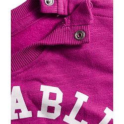 Babyhug Cotton Knit Full Sleeves Sweatshirt With Adorable Print - Dark Pink
