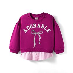 Babyhug Cotton Knit Full Sleeves Sweatshirt With Adorable Print - Dark Pink