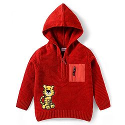 Babyhug Knitted Full Sleeves Hooded Pullover Sweater With Tiger Embroidery - Rust Orange