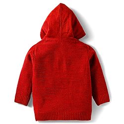 Babyhug Knitted Full Sleeves Hooded Pullover Sweater With Tiger Embroidery - Rust Orange