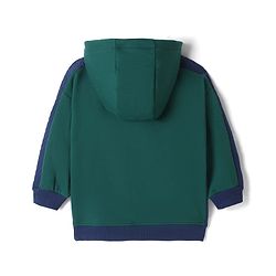 Babyhug Fleece Knit Full Sleeves Front Open Hooded Sweatshirt with Authentic Text Print & Kangaroo Pocket- Dark Green & Navy Blue