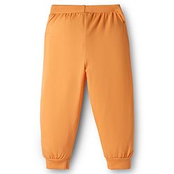 Babyhug Cotton Knit Full Length Animal Printed Lounge Pants Pack Of 2  - Teal Blue & Orange