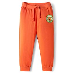 Babyhug Cotton Knit Full Length Lounge Pants with Bear Print & Tape Detailing Pack of 3 - Blue Green & Orange