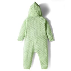 Babyhug  Knit Full Raglan Sleeves Solid Color Winter Wear Romper with Hood - Green