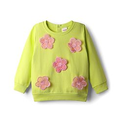 Babyhug Terry Knit Full Sleeves Top & Skirt Set with Floral Applique - Limegreen