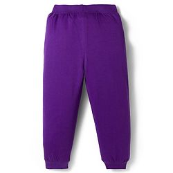 Babyhug Terry Knit Full Sleeves Hooded Top & Lounge Pant Set - Purple