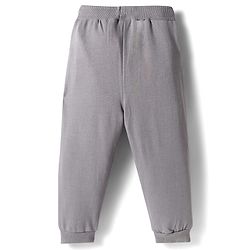 Babyhug Terry Knit Full Sleeves T-Shirt & Lounge Pant Set With Animal Print - Light Blue & Grey