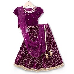 Babyhug Velvet Woven Short Sleeves Floral Embroidered  Choli Lahenga Set with Dupatta - Wine