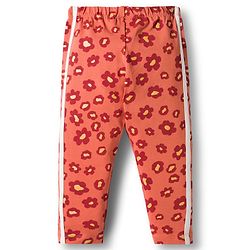 Babyhug Cotton Lycra Knit Full Length Leggings With Stretch & Floral Print - Rust Orange