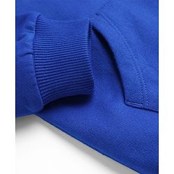 Babyhug Cotton Knit Full Sleeves Hooded Sweatshirt With Animal Graphics & Kangaroo Pockets - Blue