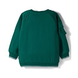 Babyhug Cotton Knit Full Raglan Sleeves Sweatshirt with Text Graphic & Patch Detailing - Green