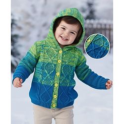 Babyhug Knitted Full Sleeves Hooded Front Open Sweater With Cable Knit Design - Green & Blue