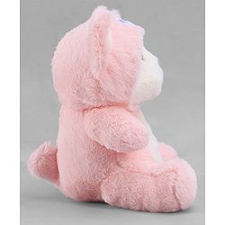 Babyhug 35cm Plush Hooded Teddy Bear Soft Toy - Pink| for Toddler Gifting| Boys & Girls| Stuffed Animal| Baby Safe| Cuddle & Travel Partner| Super Soft Fabric| Room & Car Décor